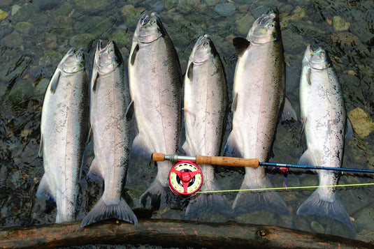 Silvers