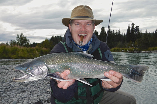 Artic Char