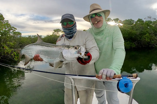 Tarpon
