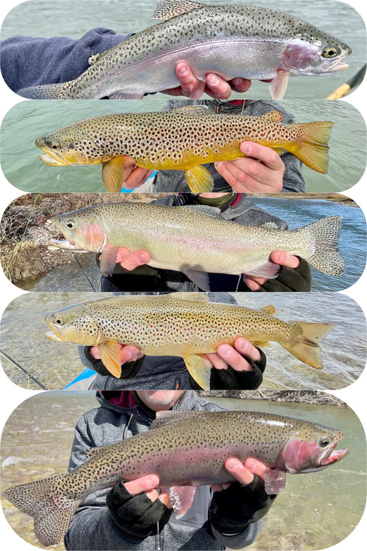 A great day on the river