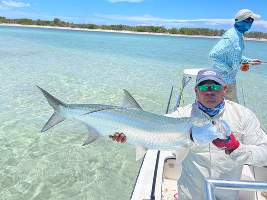 Tarpon