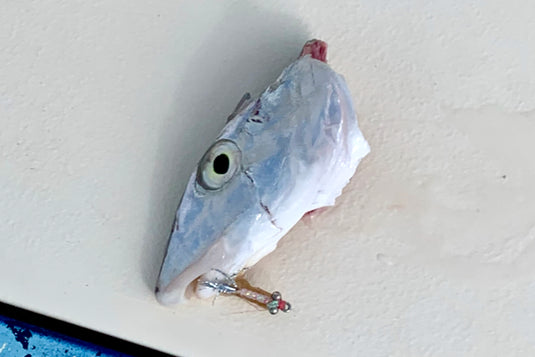 Oh, you want to chomp my bonefish, eh?